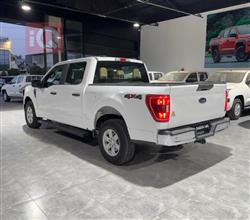 فورد إف-150